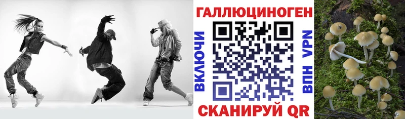 Псилоцибиновые грибы Psilocybe  Западная Двина 